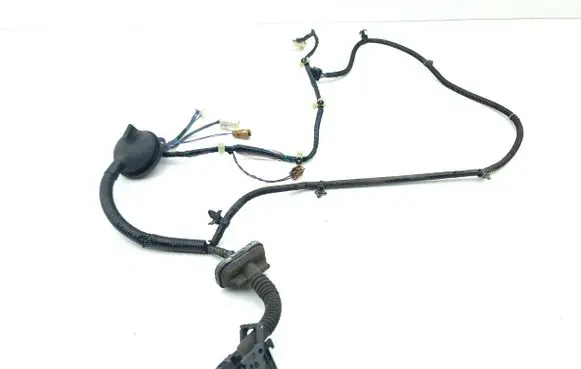 Front door wiring loom
