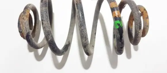 Rear coil spring