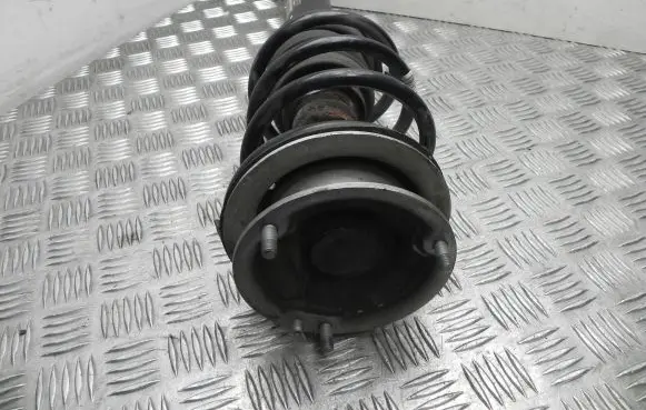 BMW X1 E84 Front shock absorber/damper 6851334