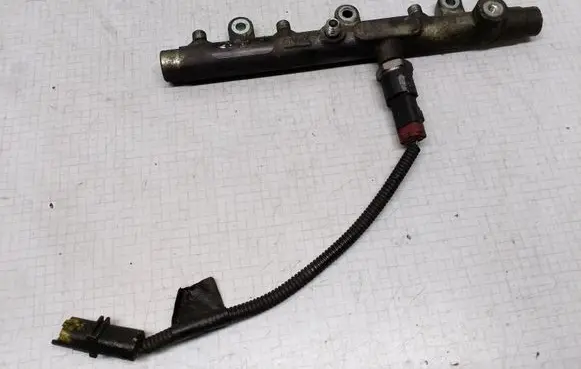 Peugeot 806 Fuel main line pipe 0445214019