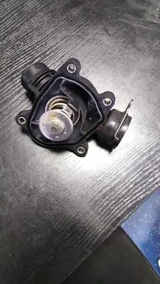 Thermostat/thermostat housing