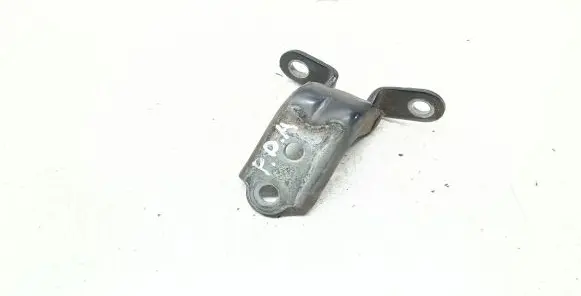 KIA Sportage Front door lower hinge 