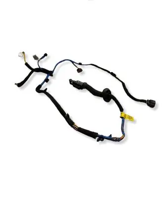 Hyundai Ioniq 5 Rear door wiring loom 91630