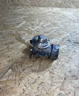 EGR valve