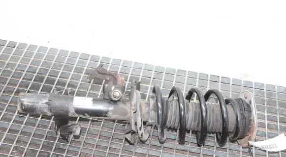 Land Rover Discovery Sport Front shock absorber/damper FK7218K001AC