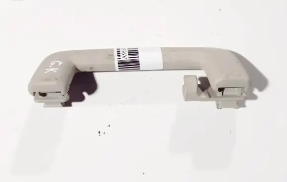 Ford Focus Rear interior roof grab handle