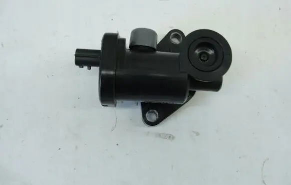 Renault Talisman Intake manifold valve actuator/motor 0120105161
