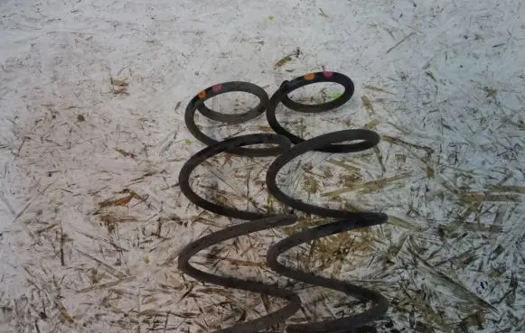 Dacia Dokker Rear coil spring