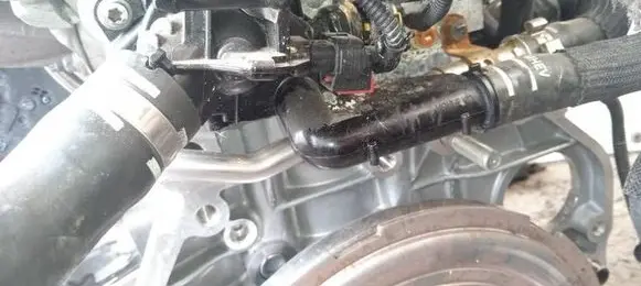Engine coolant pipe/hose