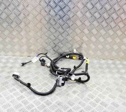Tesla Model Y Other wiring loom 148905901C