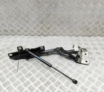 Land Rover Range Rover Evoque L551 Engine bonnet/hood hinges K8D216800A K8D216C826AA