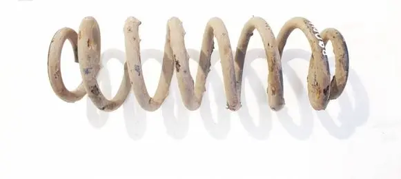 Rear coil spring