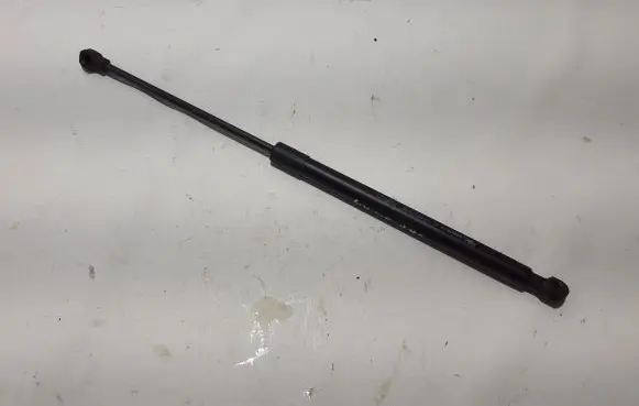 Tailgate strut