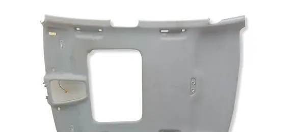 Audi A4 S4 B9 Headlining 8W5867506J