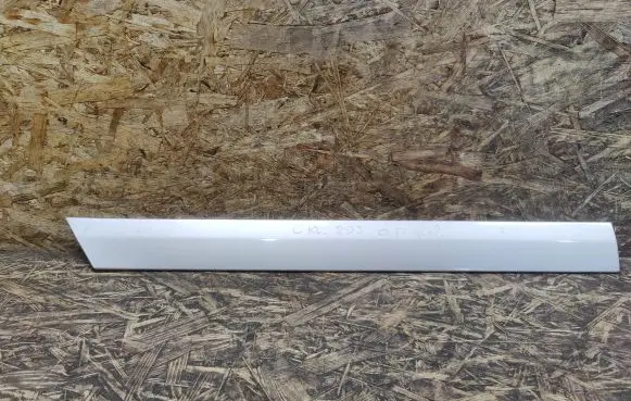 Rear door trim (molding)