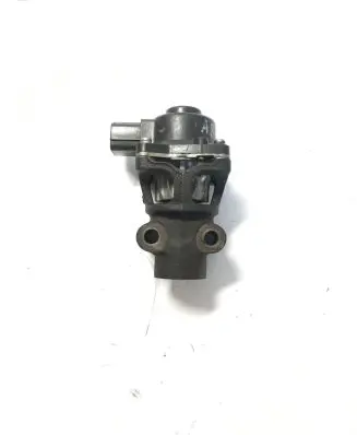 Suzuki Grand Vitara I EGR valve 79071