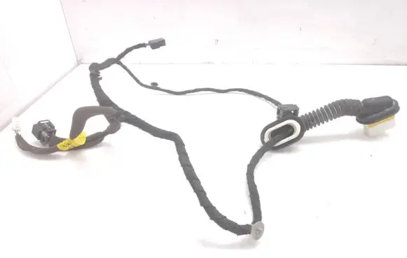 Rear door wiring loom