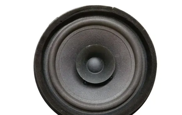 Suzuki Grand Vitara II Rear door speaker 421056
