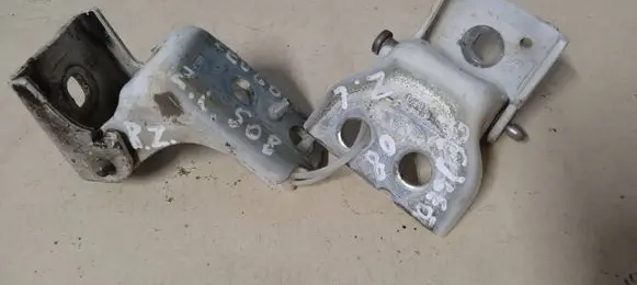 Peugeot 508 Rear door hinge set 