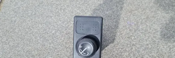 Nissan Terrano Wing mirror switch