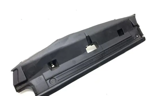 Lexus UX Sliding door wind deflector 1659210010