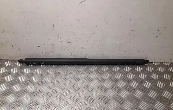 Hyundai Ioniq 5 Tailgate/trunk/boot tension spring 81841GI101