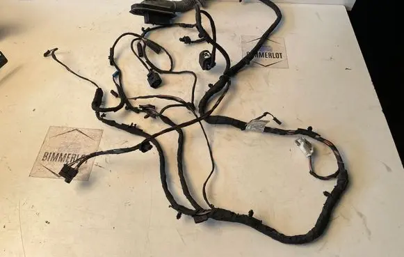 BMW 6 F06 Gran coupe Front door wiring loom 9255396