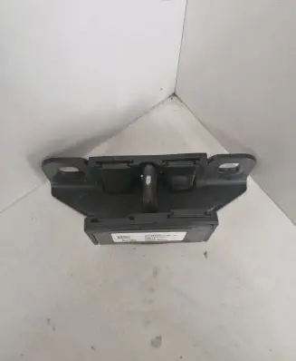 Tesla Model X Rear door lock loop/hook striker 103383600G