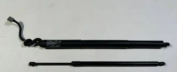 Tailgate strut