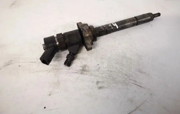Citroen C4 I Picasso Fuel injector 0445110259
