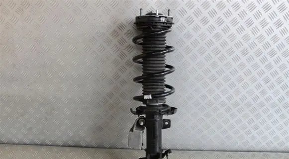 Ford Fiesta Front shock absorber with coil spring H1BC18K001CC