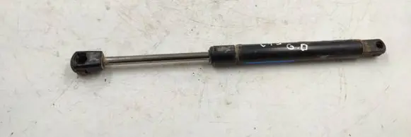 Tailgate strut