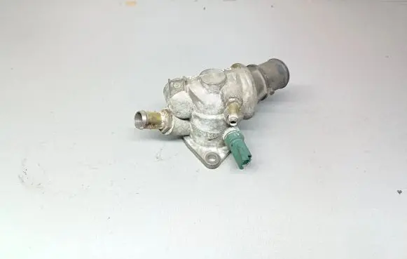 Thermostat/thermostat housing