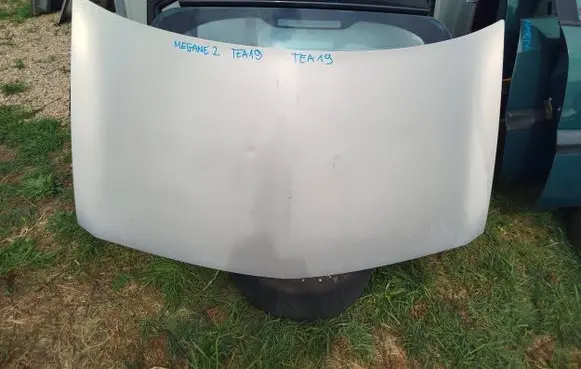 Renault Megane II Engine bonnet/hood TEA19