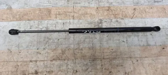 Tailgate/trunk strut/damper