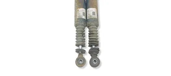 Opel Vectra C Rear shock absorber/damper 314801619