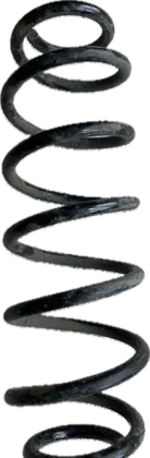 Rear coil spring