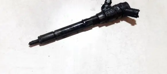 KIA Carens II Fuel injector 3380027400 0445110258