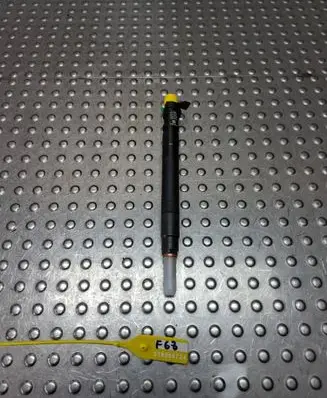 Lancia Phedra Fuel injector 9686191080 EMBR00101D
