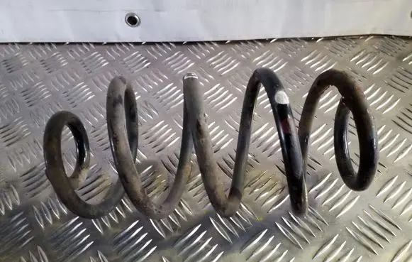 Rear coil spring