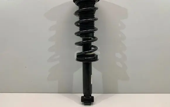 BMW X3 G01 Rear shock absorber with coil spring 6871802