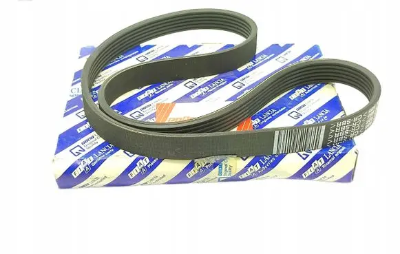 Fiat Punto (199) Alternator belt 7780556
