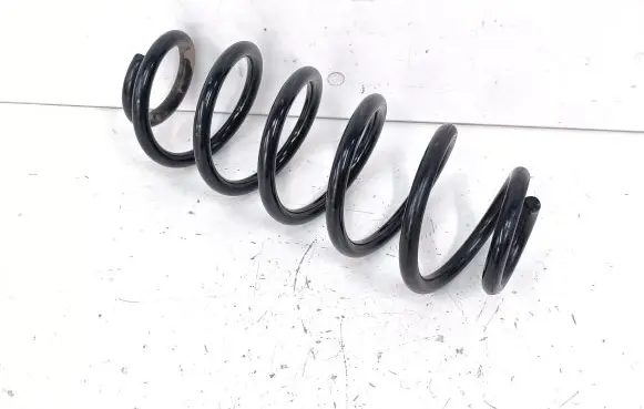 Rear coil spring