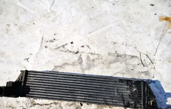Renault Laguna II Intercooler radiator