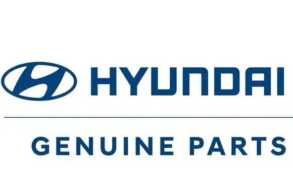Hyundai Tucson IV NX4 Front wheel arch liner splash guards 86816N7000