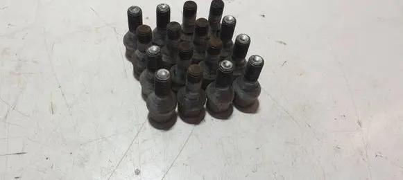 Dacia Spring Nuts/bolts 65X99