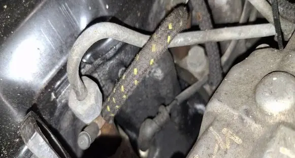 Volkswagen PASSAT B5 Fuel injector 