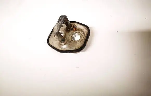 Citroen C4 I Rear door lock loop/hook striker 