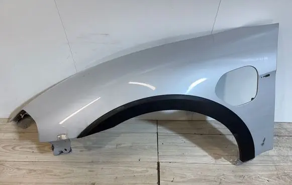 Porsche Taycan 9J1 Fender