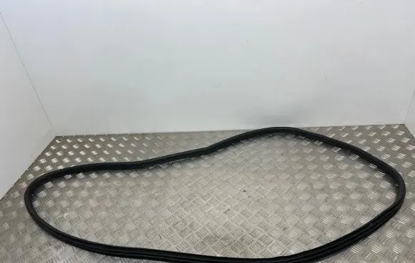 BMW X3 G01 Front door rubber seal 